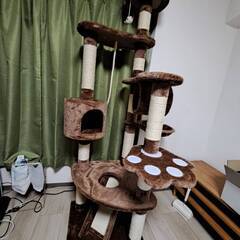 キャットタワー 2週間使用　￥5000(お値段交渉いたします。)