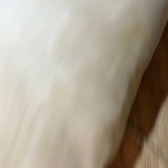 ☆激レア☆ 生茶パンダ 抱き枕の画像