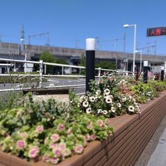 🌸ガーデニング専門店と花と緑に囲まれた花カフェ☕ - 剪定/造園