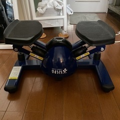 オアシス+INGツイストステッパー