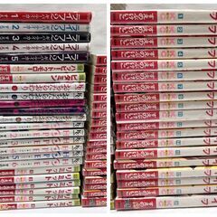 110冊以上！少女マンガ コミックス 漫画まとめ売り すえのぶけいこ ライフ ライフ2 ギバーテイカー リミット おちたらおわり HOPE 上田美和 　ピーチガール Oh!myダーリン パピヨン など 有名タイトル多数！S-④の画像