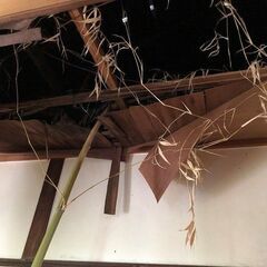 格安でお譲りします！空家『福岡県鞍手郡鞍手町』 - 不動産売買（マンション/一戸建て）
