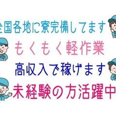 【愛媛県八幡浜市】入出庫作業（解答・箱詰めなど）