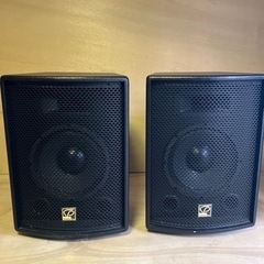 Classic Pro スピーカーペア PA10/4