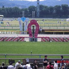 ターフファンへのお誘いです、