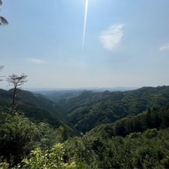 カウンセリングモニター募集
