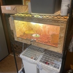 爬虫類ケージ　小動物ケージ　90×45×45 送料込みの画像