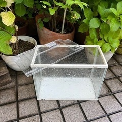 水槽　プラスチック　蓋付きの画像