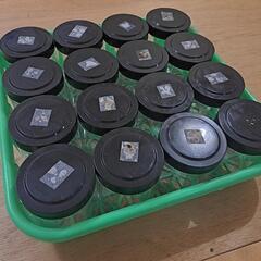 中古クワガタ、カブトの幼虫入れの画像