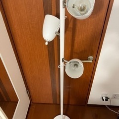 フロアライト　ホワイト
