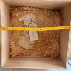 萩焼 廣瀬淡雅 広瀬淡雅  壷 天鵬山 花瓶の画像