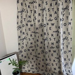 代理出品です。の画像
