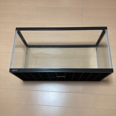 水槽60センチサイズ　GEXの画像