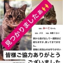 迷子猫🐾無事✨保護出来ました