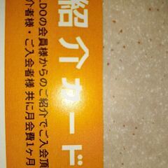 一緒にヨガの体験に行きませんか？