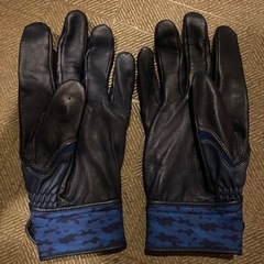 ミズノバッティンググローブ モーションアーク 25cmの画像