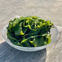 塩蔵茎わかめ　売ります