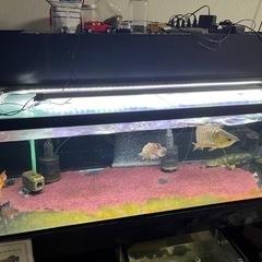 水槽フルセット　最終値下げ早いもの勝ちの画像