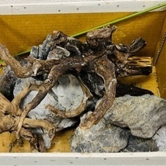 水槽用　流木と石　セット