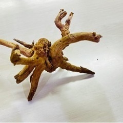水槽用　流木と石　セットの画像