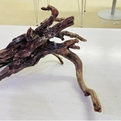 水槽用　流木と石　セットの画像