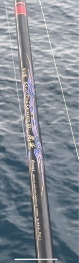 マスターモデル2尾長