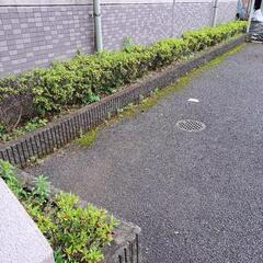 草むしり好きな方募集