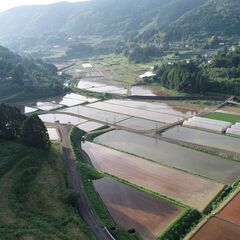 ドローンによる農作物への農薬散布