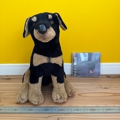 犬　JOCKLINE