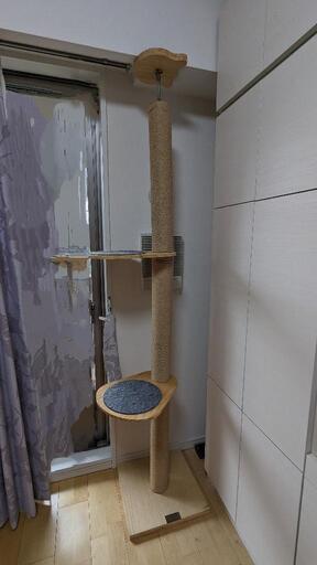 突っ張り棒型キャットタワー　省スペース