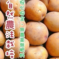 〚自然農〛じゃがいも／キタアカリ2キロ