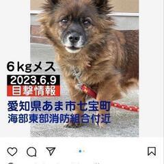 探してます！