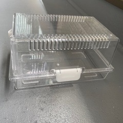 レプティギア