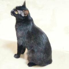 昼飲みしませんかー？ - 友達