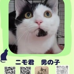 捨てられていました【譲渡会参加】