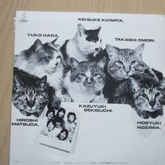 中古Pレコード「サザン・オールスターズ　タイ二イ・バブルス」の画像