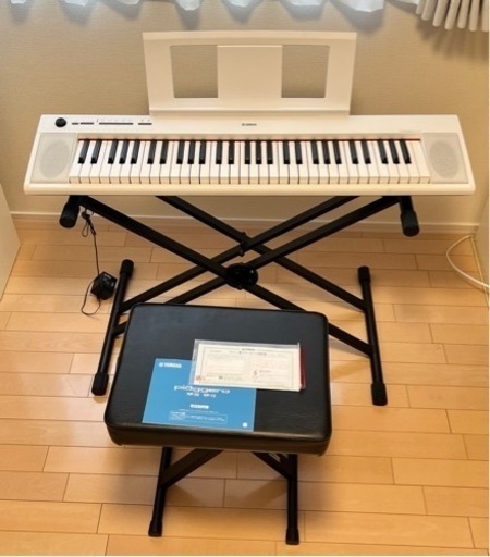 【スタンド\u0026椅子\u0026純正ケースつき】美品 YAMAHA piaggero NP-12