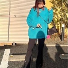 【JEANASIS】12GWジャガードボリュームスリーブプルオーバーの画像