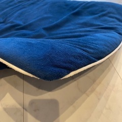 長座布団　の画像