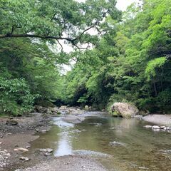 平日のゆる登山(ハイキング)仲間募集です～ - 福生