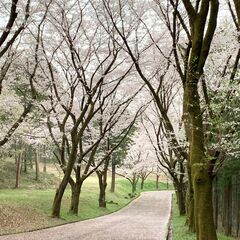 平日のゆる登山(ハイキング)仲間募集です～ - 友達