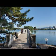 大濠公園で友達を作ろう！