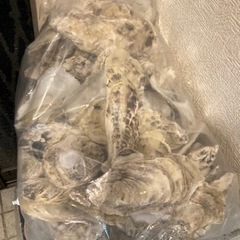 牡蠣殻