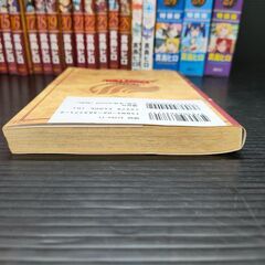 FAIRY TAIL　フェアリーテイル　1-28巻　フェアリーテイルプラス　フェアリーテイルアニメーション真島ヒロ　講談社の画像
