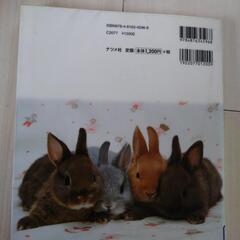 ウサギの飼い方の本の画像
