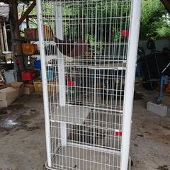 ネコゲージ