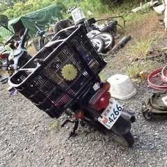 ホンダカブ魂の画像