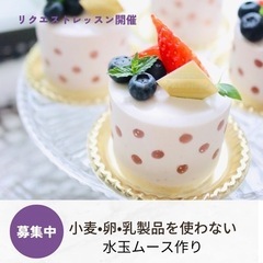 【小麦、たまご、乳製品を使わない】ブルーベリーのムースケーキ