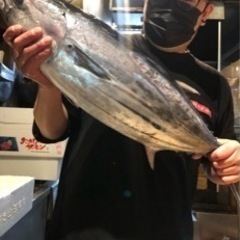 元気な居酒屋で働いてみませんか？の画像