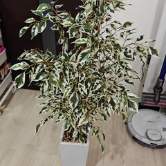 フェイクグリーン(フィカス 110cm セラミックポット)